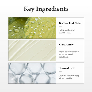 345 3-Step Skincare Routine (Serum + Cream + Mist) Dr Althea
