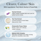 ARENCIA Hyssop Sebum Control Rice Cake Cleanser