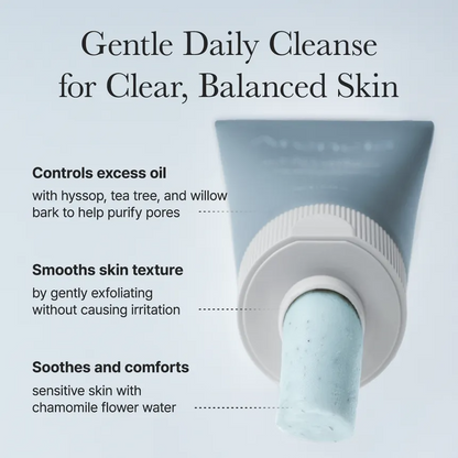 ARENCIA Hyssop Sebum Control Rice Cake Cleanser