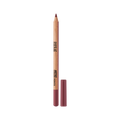 Artist Color Pencil Minis