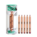 Artist Color Pencil Stellar Set