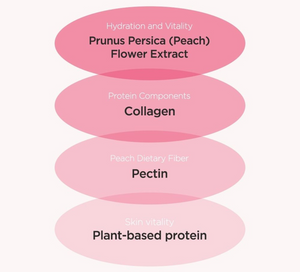 Anua Peach 77 Niacin Enriched Cream Anua