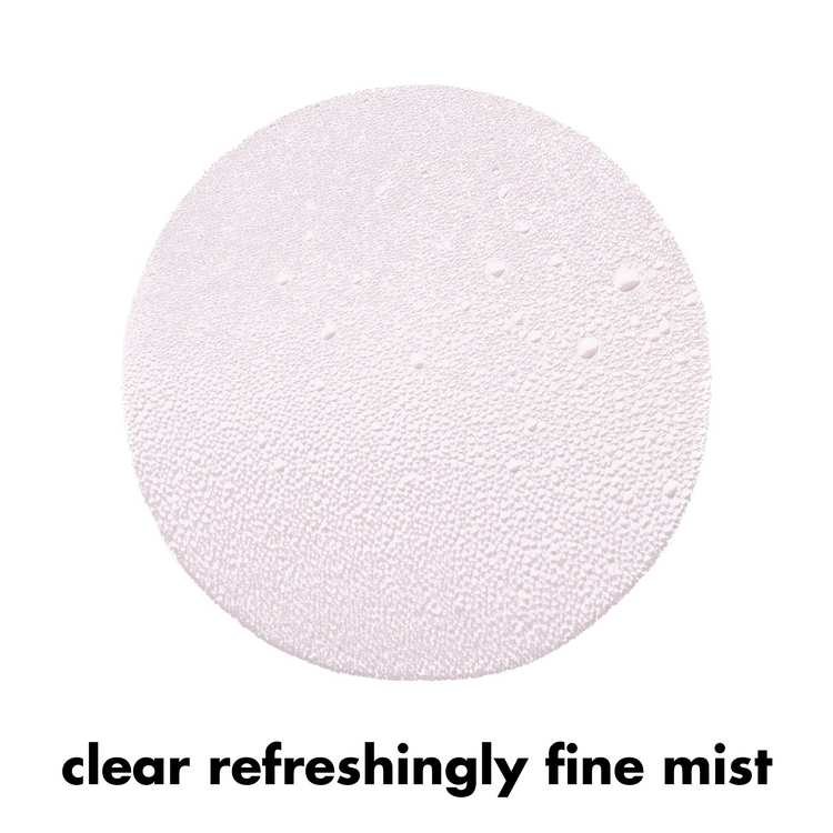 ELF Power Grip Rosé Setting Spray