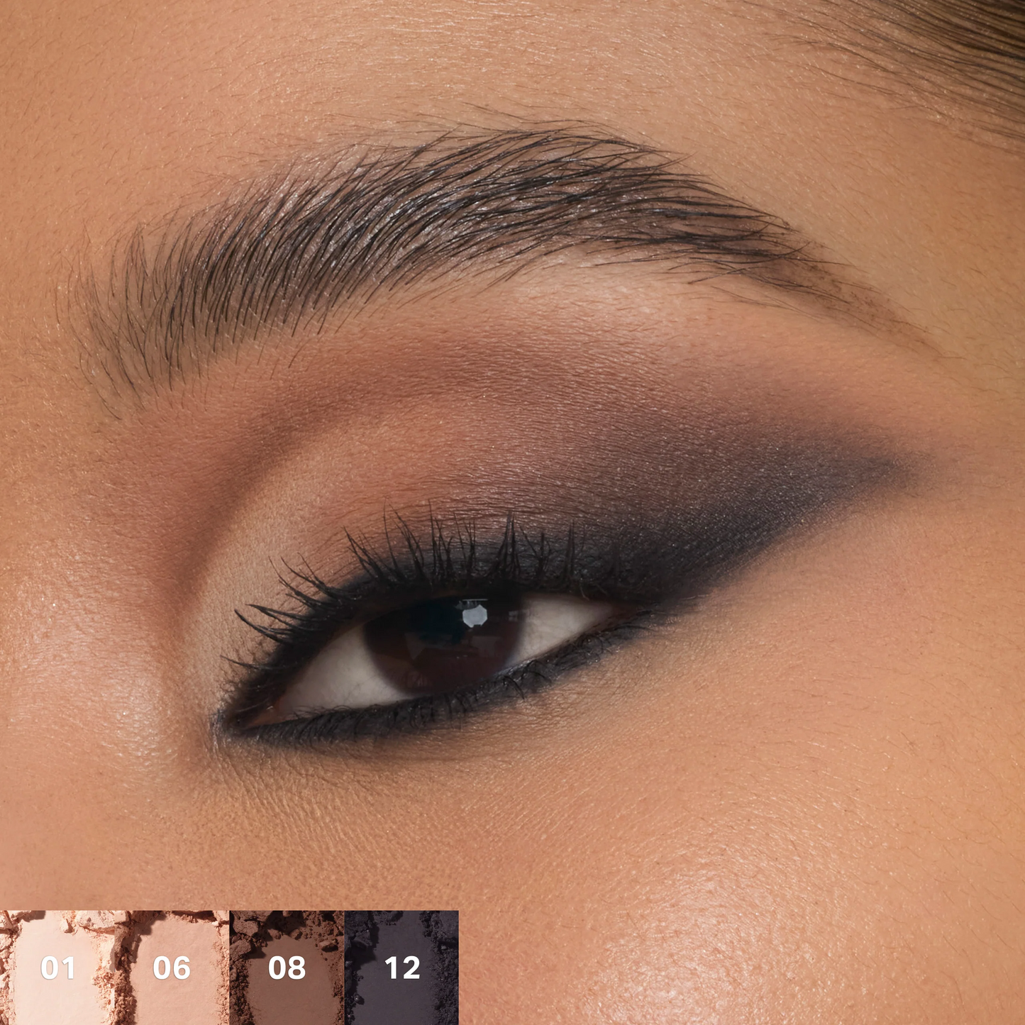 Morphe ChromaPlus 12-Pan Eyeshadow Palette - Flickering Sands