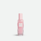 Glow Recipe Watermelon Glow Pink Juice Moisturizer