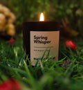 https://allurify.pk/products/nuha-candles-scented-candle-spring-whisper?utm_source=copyToPasteBoard&utm_medium=product-links&utm_content=web
