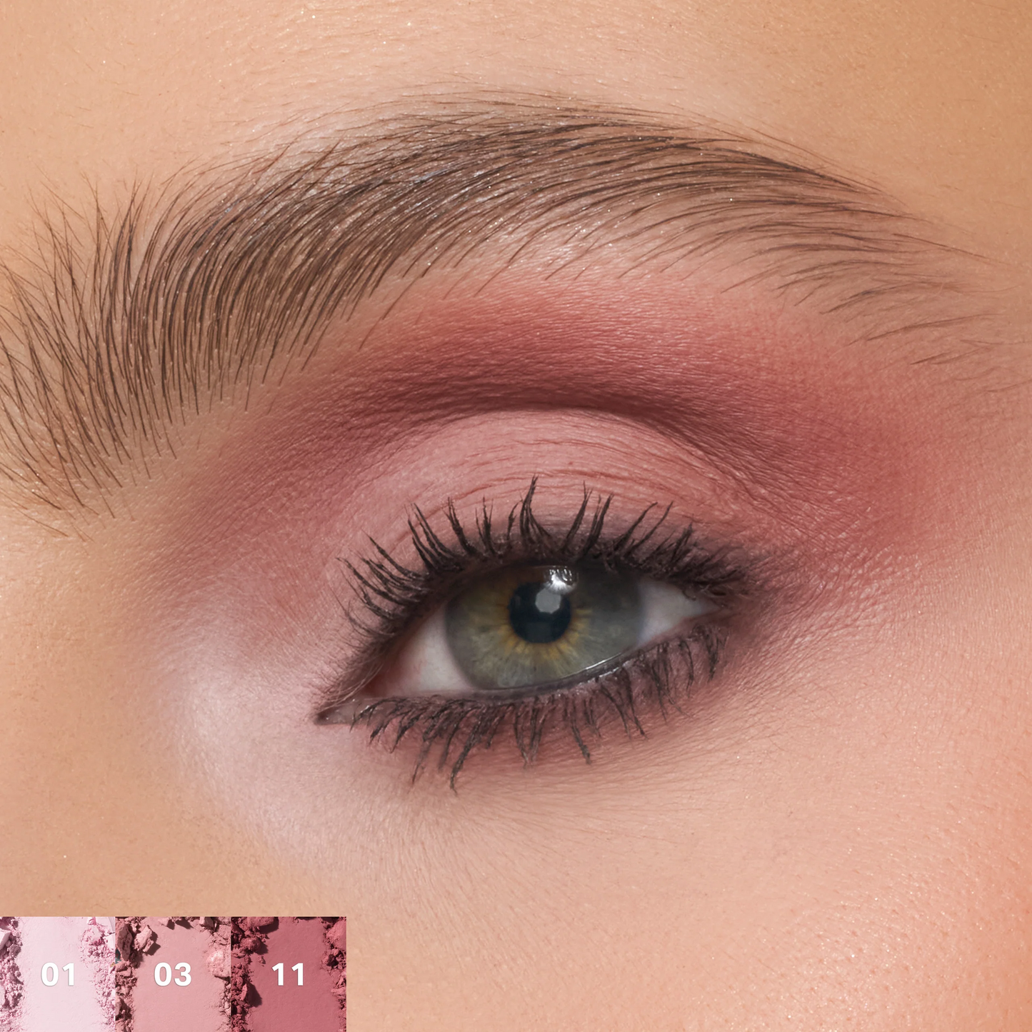 Morphe ChromaPlus 12-Pan Eyeshadow Palette - Flickering Sands