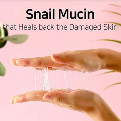 https://allurify.pk/products/some-by-mi-snail-truecica-miracle-repair-serum-2?variant=49433737789756