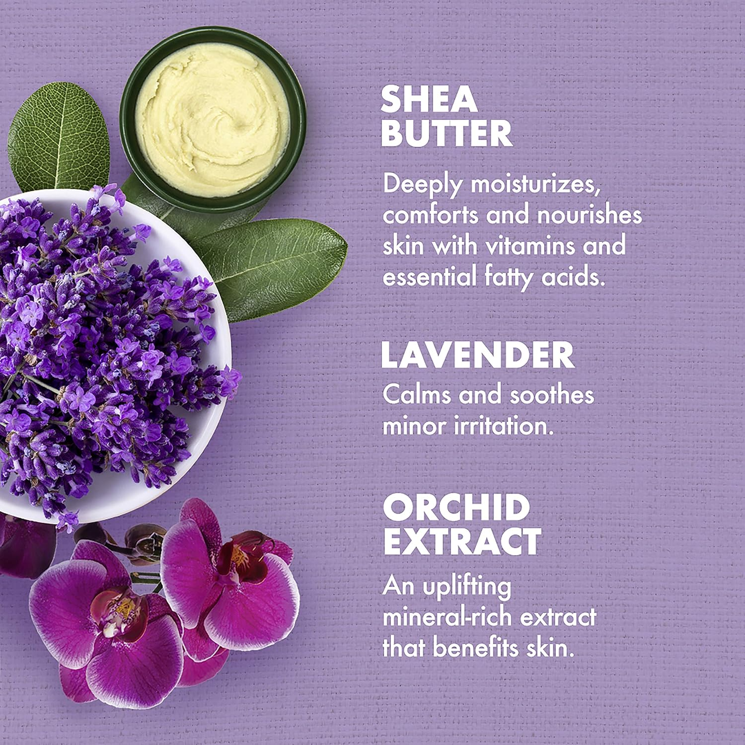 SheaMoisture Bath, Body and Massage Oil Lavender Wild Orchid