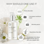 The Face Shop White Seed Brightening Serum