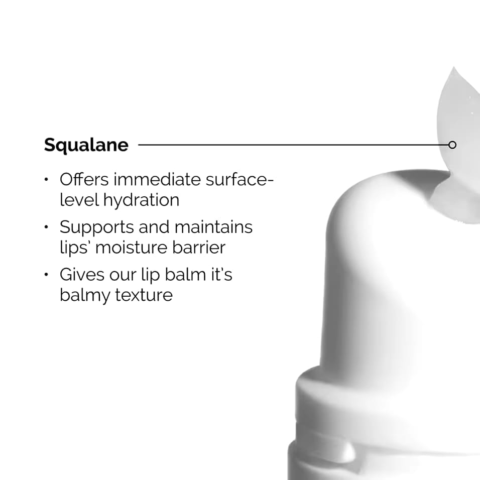 https://allurify.pk/products/the-ordinary-squalane-and-amino-acids-lip-balm-15ml?variant=50326932193596