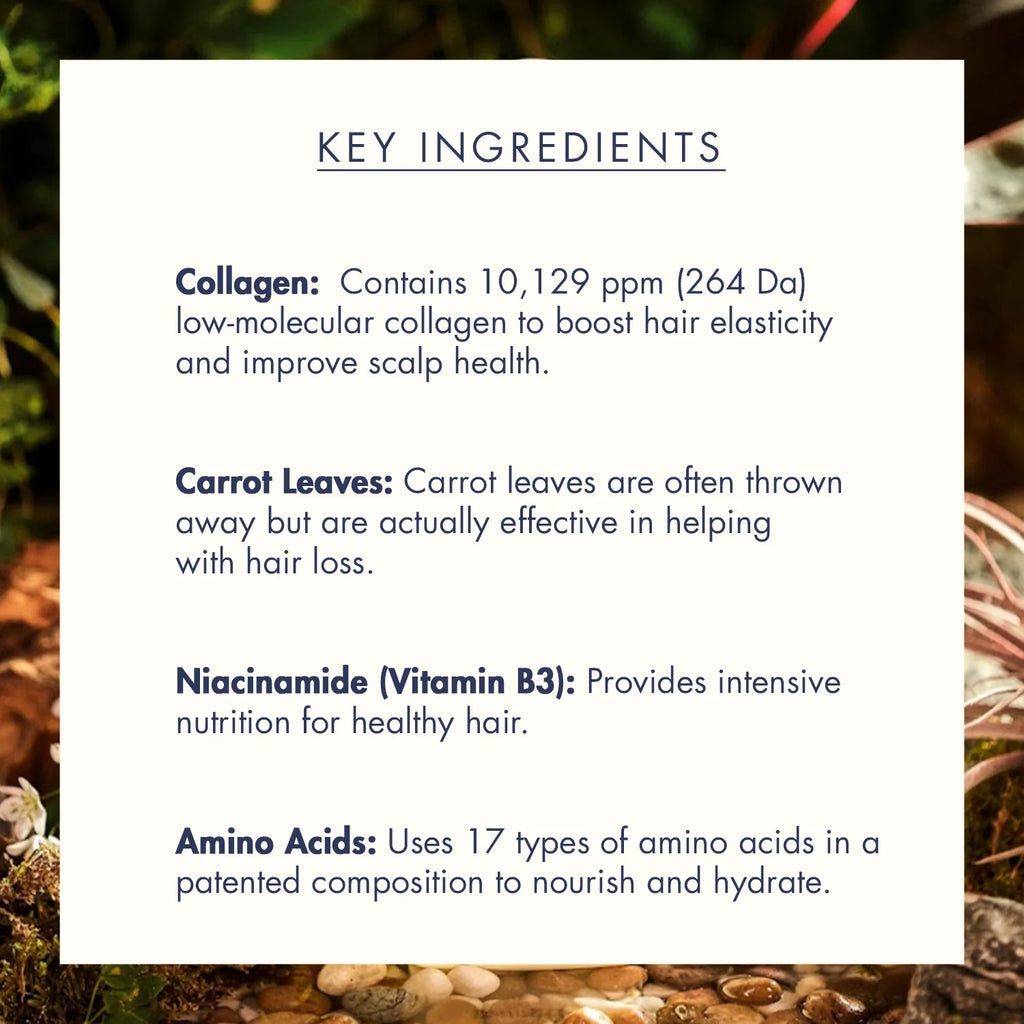 https://allurify.pk/products/treecell-day-collagen-shampoo-morning-of-resort?variant=51765211627836