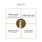 https://allurify.pk/products/treecell-day-collagen-shampoo-morning-of-resort?variant=51765211627836