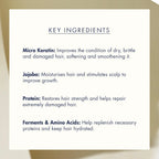 https://allurify.pk/products/treecell-forte-ampoule-treatment?variant=51765215985980
