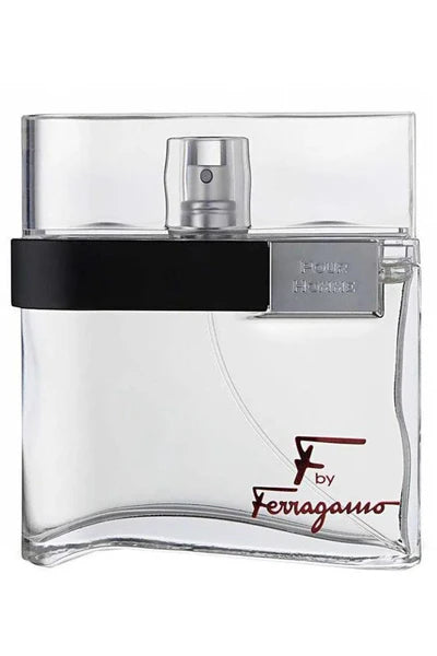 https://allurify.pk/products/ferragamo-f-silver-for-men-edt-100ml?utm_source=copyToPasteBoard&utm_medium=product-links&utm_content=web