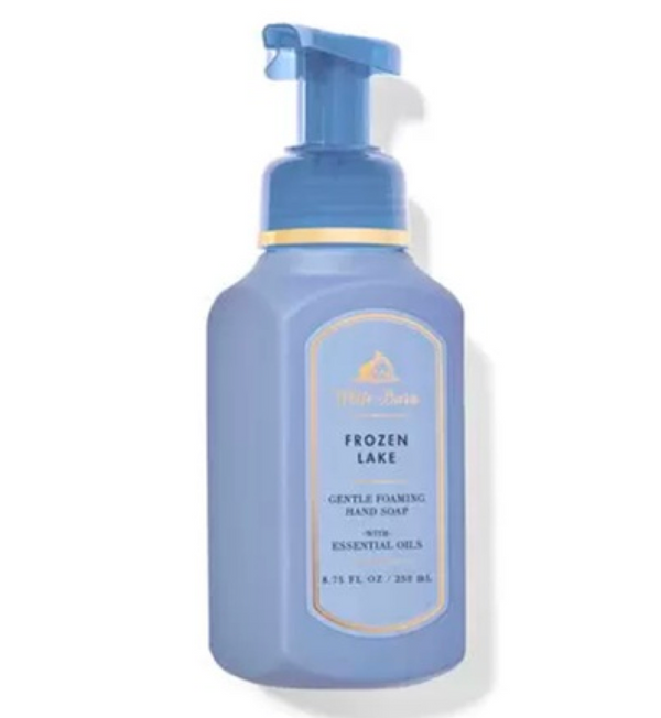 https://allurify.pk/products/bath-body-works-white-barn-frozen-lake-gentle-foaming-hand-soap?_pos=1&_psq=frozen+lake&_ss=e&_v=1.0&variant=48623431844156