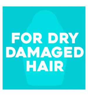 OGX Renewing+ Argan Oil of Morocco Shampoo - 385 ml Ogx Beauty