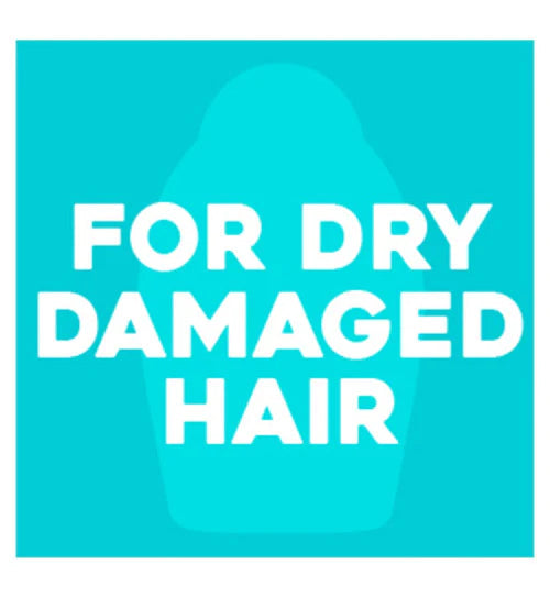 OGX Renewing+ Argan Oil of Morocco Shampoo - 385 ml Ogx Beauty